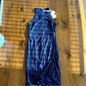 Jasambac Sequin Dress